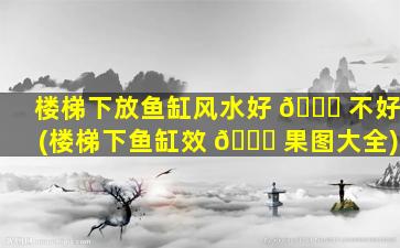 楼梯下放鱼缸风水好 🐛 不好(楼梯下鱼缸效 🍀 果图大全)